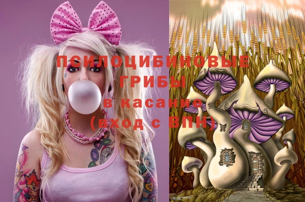 mdma Белокуриха